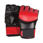 MMA Gloves